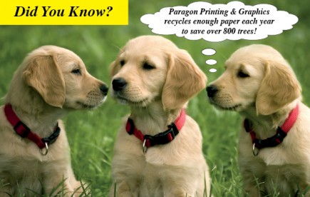 3-dogs-postcard1-e1360530228135