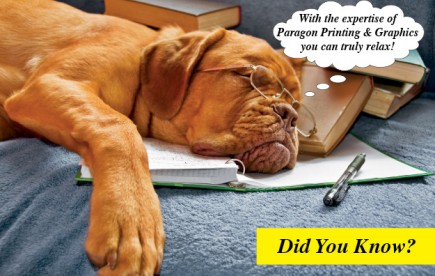 sleeping-dog-postcard-e1360537942743